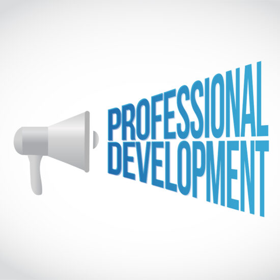 Affiliate marketing professional development